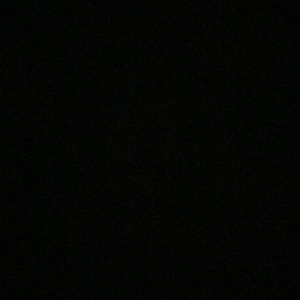 Meet your Posher, Zoey